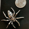 Vingage Spider Pet Pendant / Pin